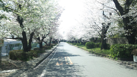 110412_131429.jpg