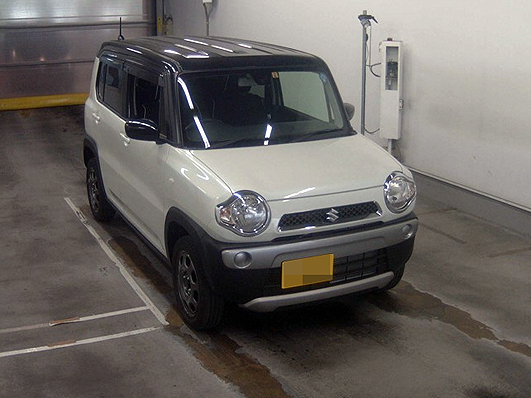 2015.5-3hasura1.jpg