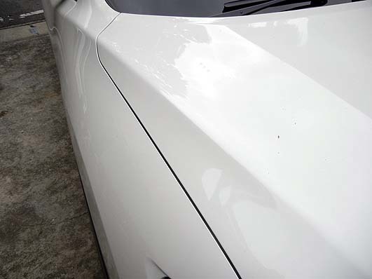 DSCN0998c.jpg