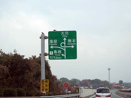 DSCN980803.jpg